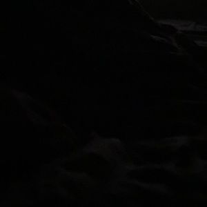 Basq NYC citrus sugar scrub exfoliator